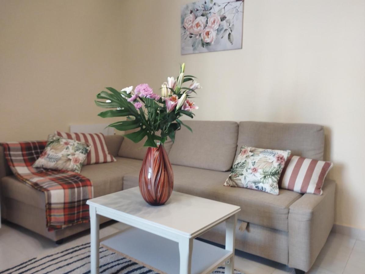 Spacious Apartment La Mata Pool&Beach Торевиеха Екстериор снимка